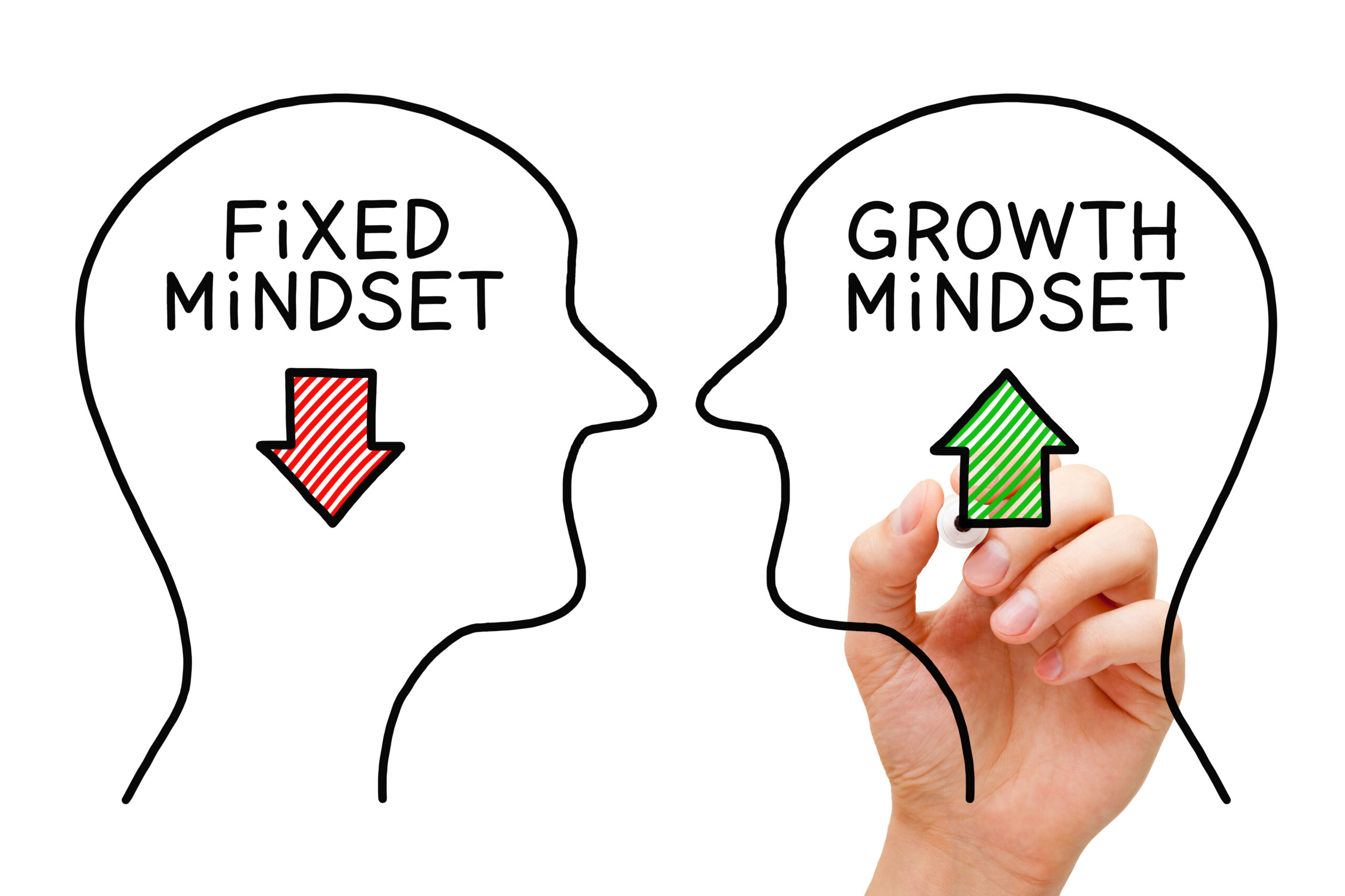 high-earning, low-stress entrepreneurs